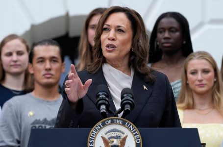 Kamala Harris vetting list of possible running mates with 4 standouts: report