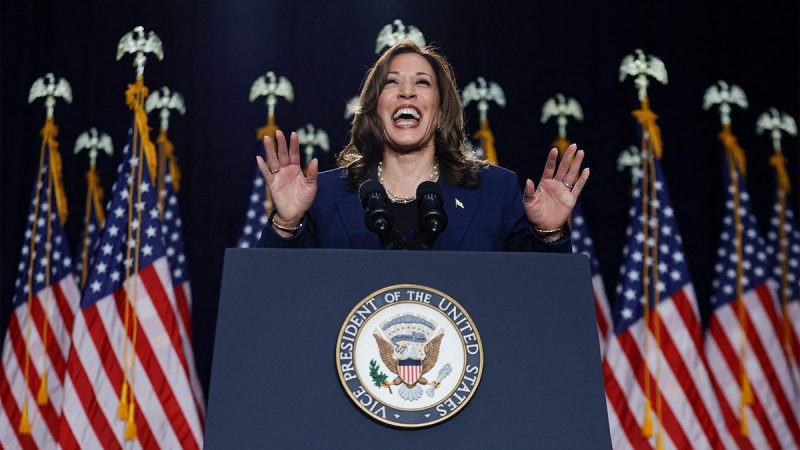  Harris’ momentum a reflection of Democrat ‘relief’ replacing Biden: GOP strategist