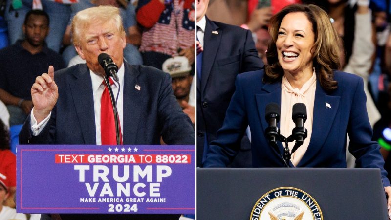  ‘Great asset’: Radical Dems, socialists thrilled by Harris’ VP pick Tim Walz