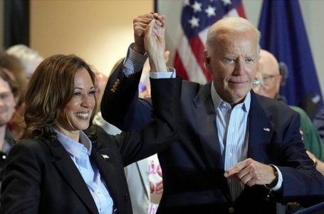 Sen Cotton says Biden-Harris likely prolonged Gaza war, let aid go to terrorists: ‘Betrayed’ taxpayers