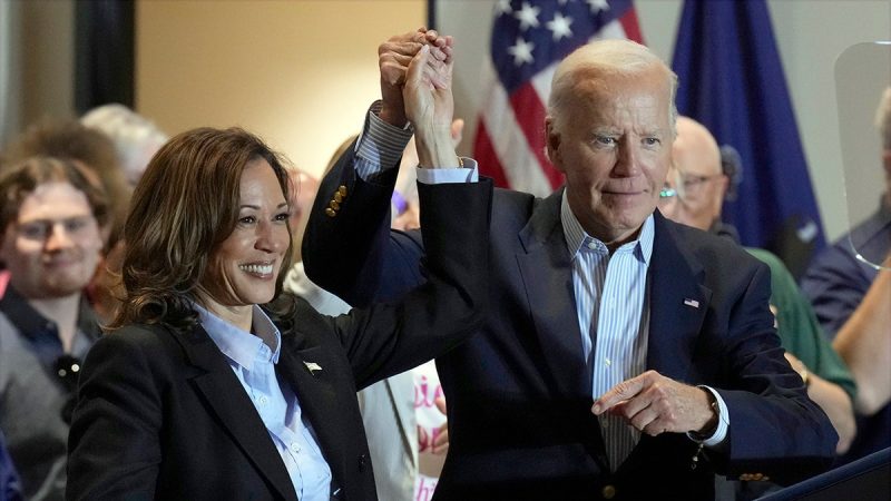  Sen Cotton says Biden-Harris likely prolonged Gaza war, let aid go to terrorists: ‘Betrayed’ taxpayers